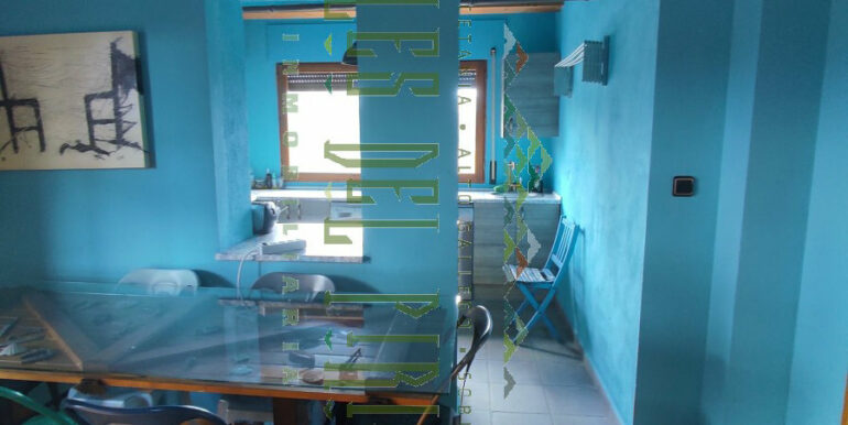 1631876091836-C