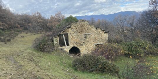 PARCELA ÚRBANA Y RÚSTICA, PLANILLO