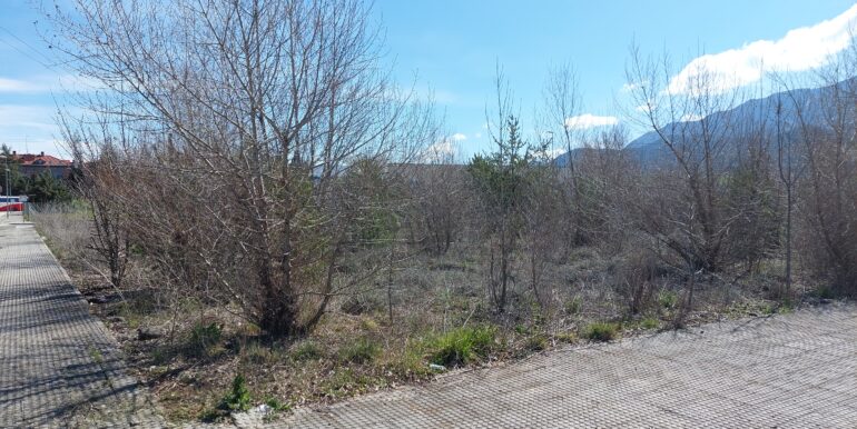 IMG-20250327-WA0001