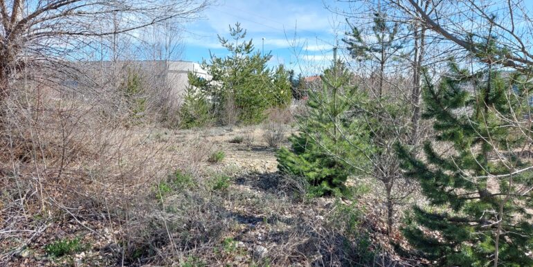 IMG-20250327-WA0003