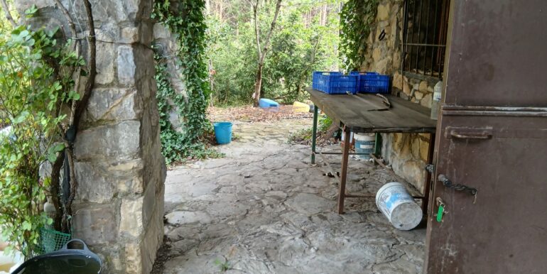 IMG-20250419-WA0015