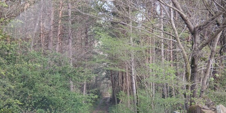 IMG-20250419-WA0020