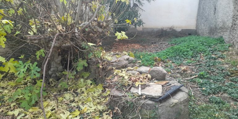 WhatsApp Image 2025-11-13 at 17.48.21 (1)