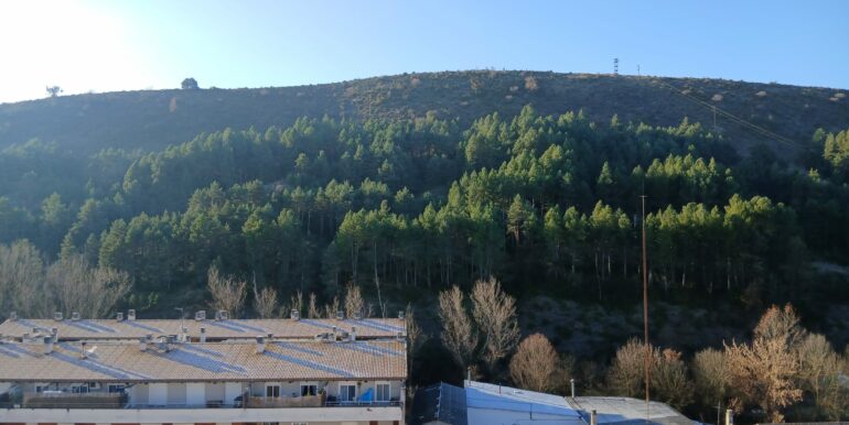 WhatsApp Image 2025-12-29 at 12.09.36