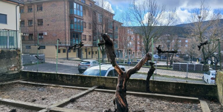 WhatsApp Image 2026-02-06 at 11.49.36 (1)