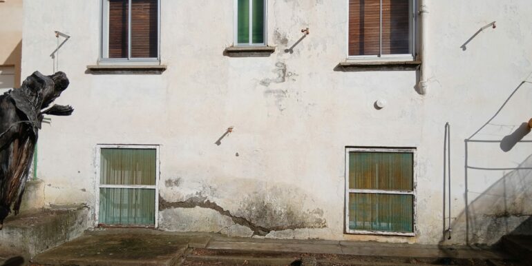 WhatsApp Image 2026-02-06 at 11.49.36