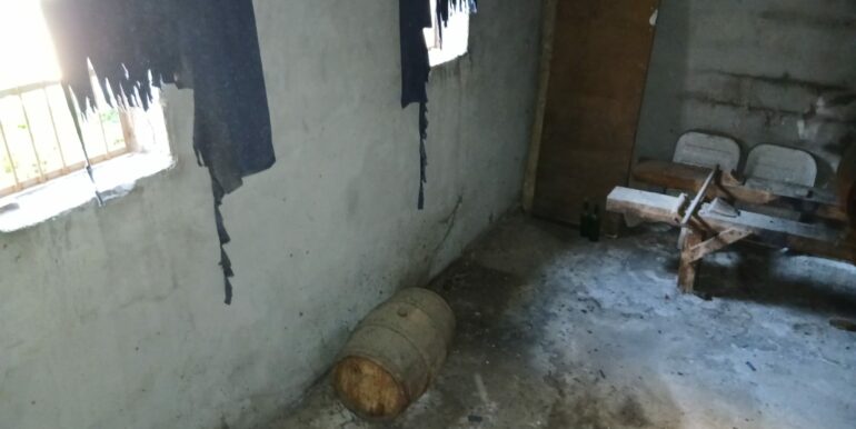 WhatsApp Image 2025-12-29 at 12.08.52